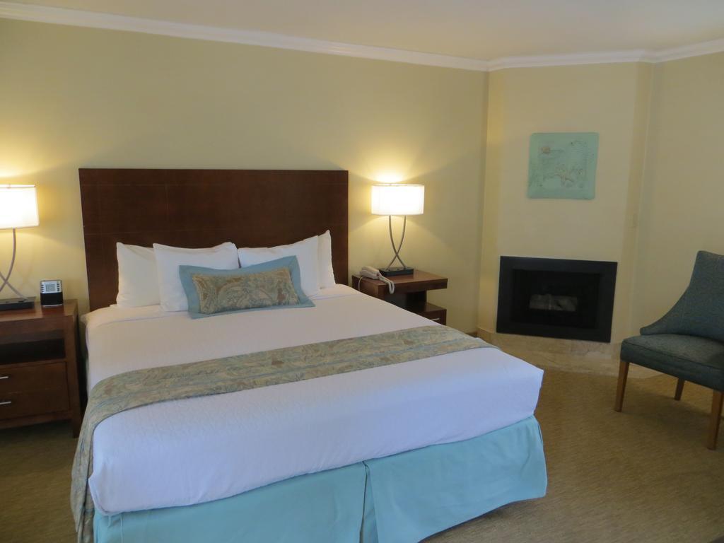 King Room with Fireplace,227705423:JPEG