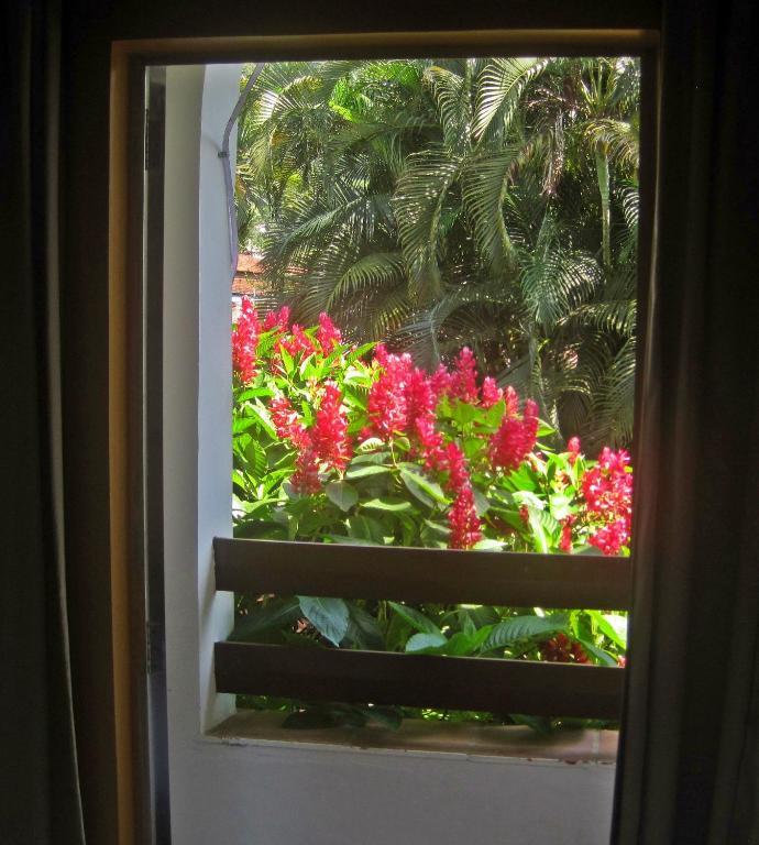 Triple Room with Mountain View,927394414:JPEG