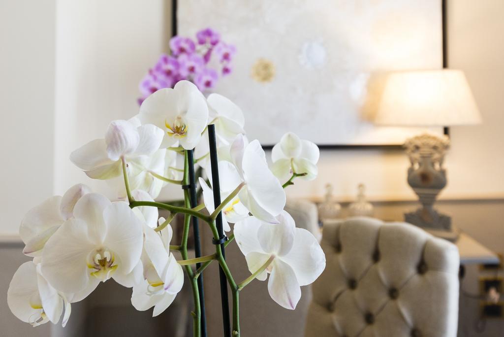 Superior Double or Twin Room with One-time SPA access