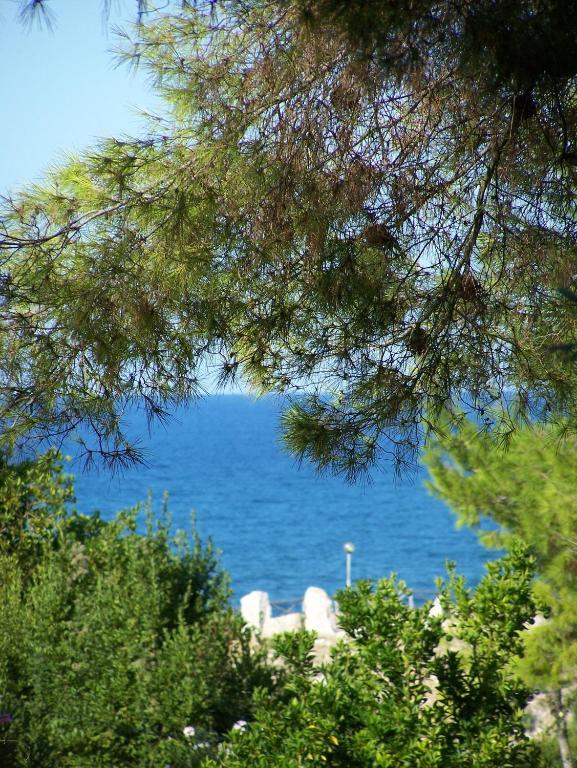 Villa Superior con 2 Camere con Vista Mare