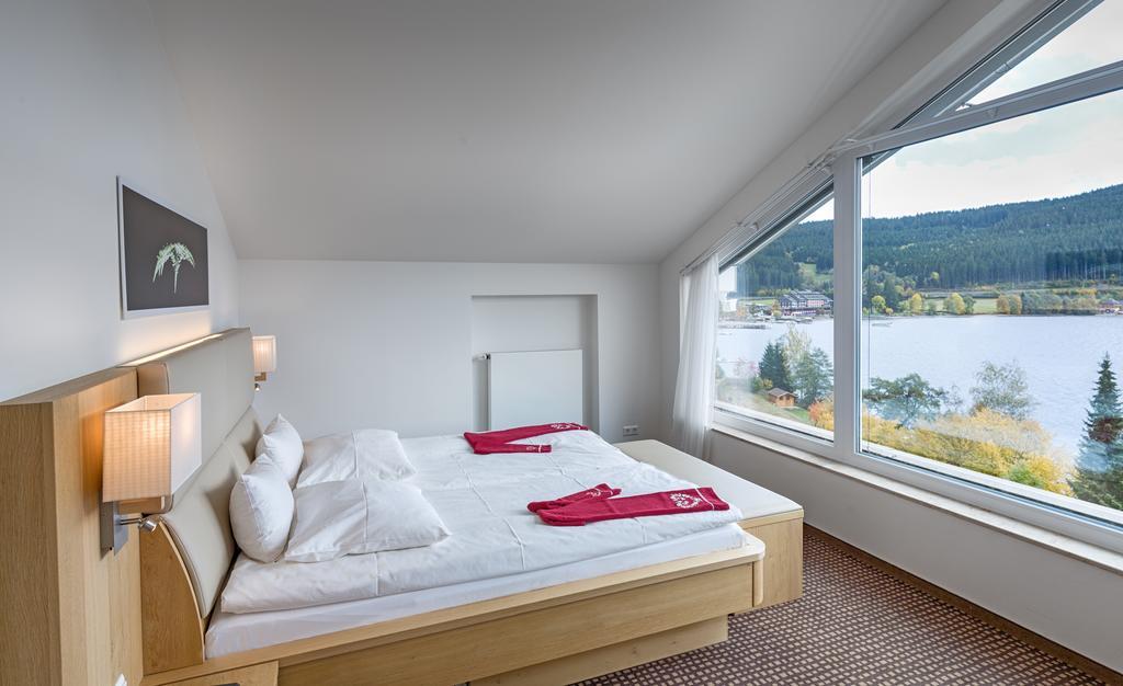 Suite Panorama Feldberg