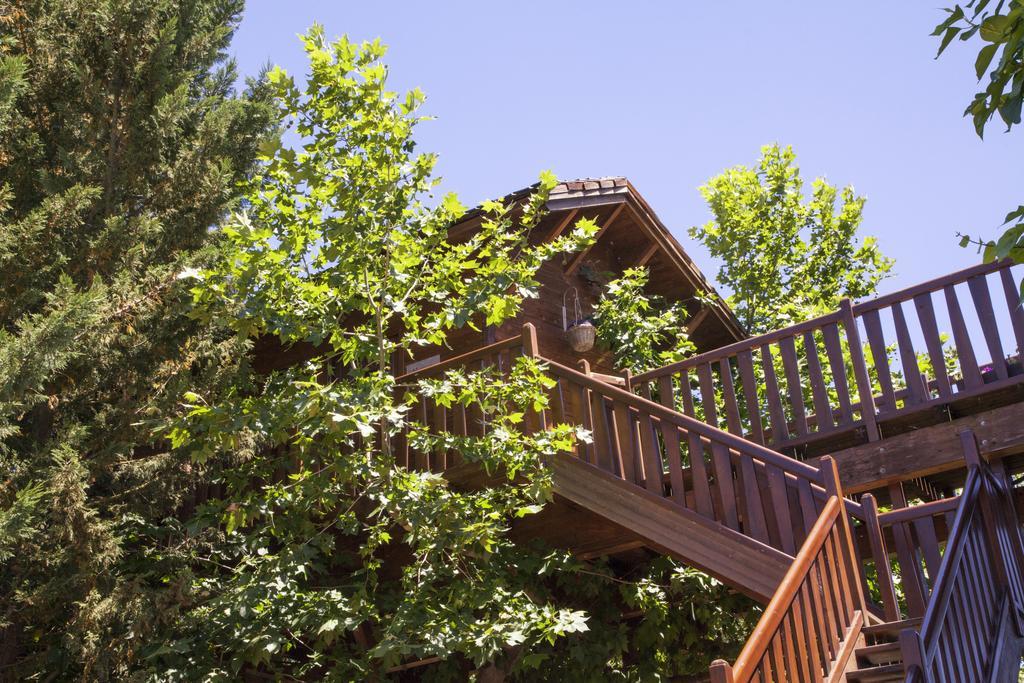 Habitación doble en un árbol