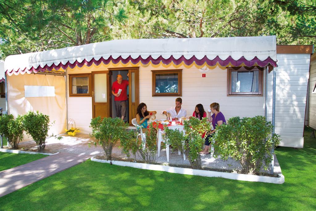 Luxury Mobile Home - Beach Package,381482302:JPEG