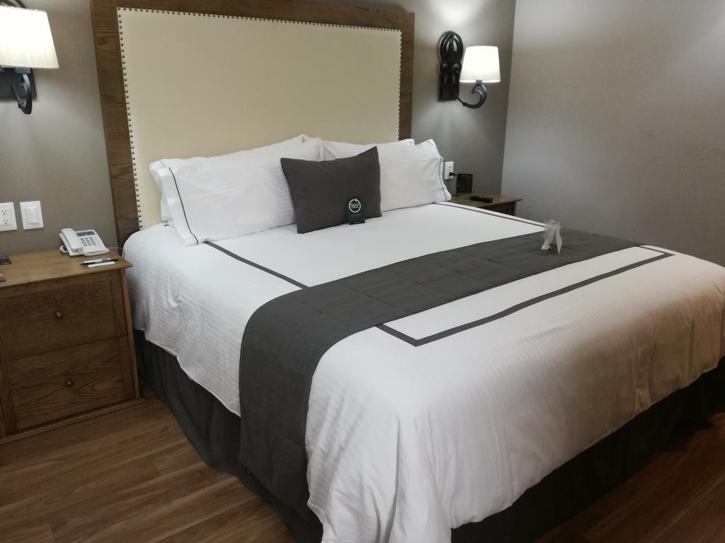 Standard Double Room - 1 Bed