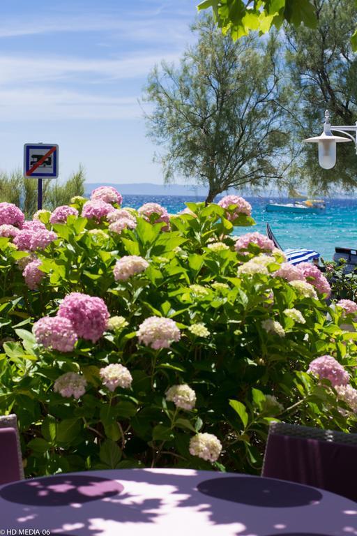 Double Room with Sea View - First Floor (2 Adults + 1 Child),204030343:JPEG