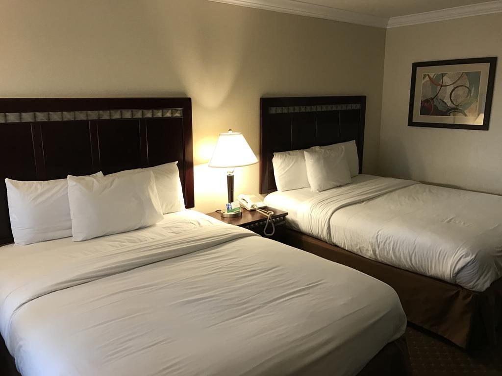 Standard Queen Room