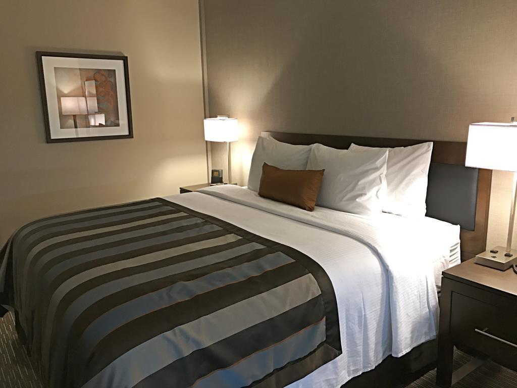 Suíte de 1 Quarto com 1 Cama King-size e 1 Cama Murphy - Acessível para Hóspedes com Mobilidade Reduzida - Não Fumantes