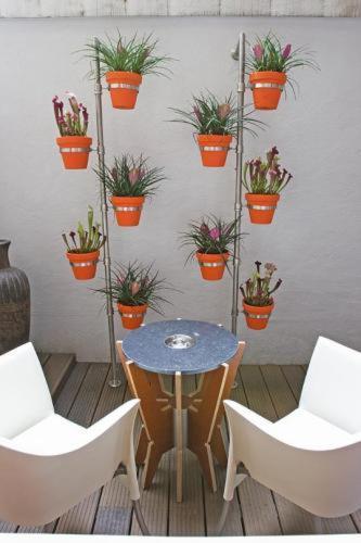Suite Mandarina