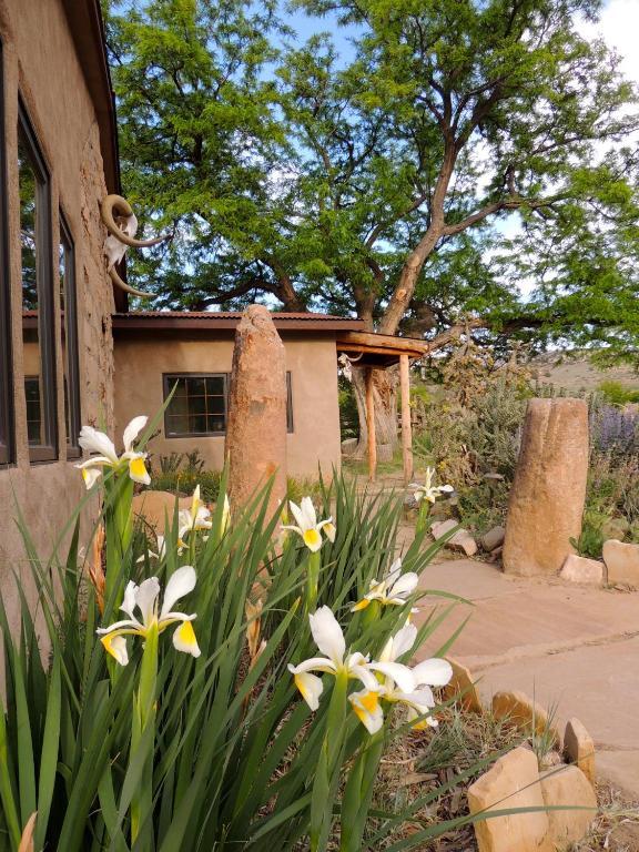 Three-Bedroom Home