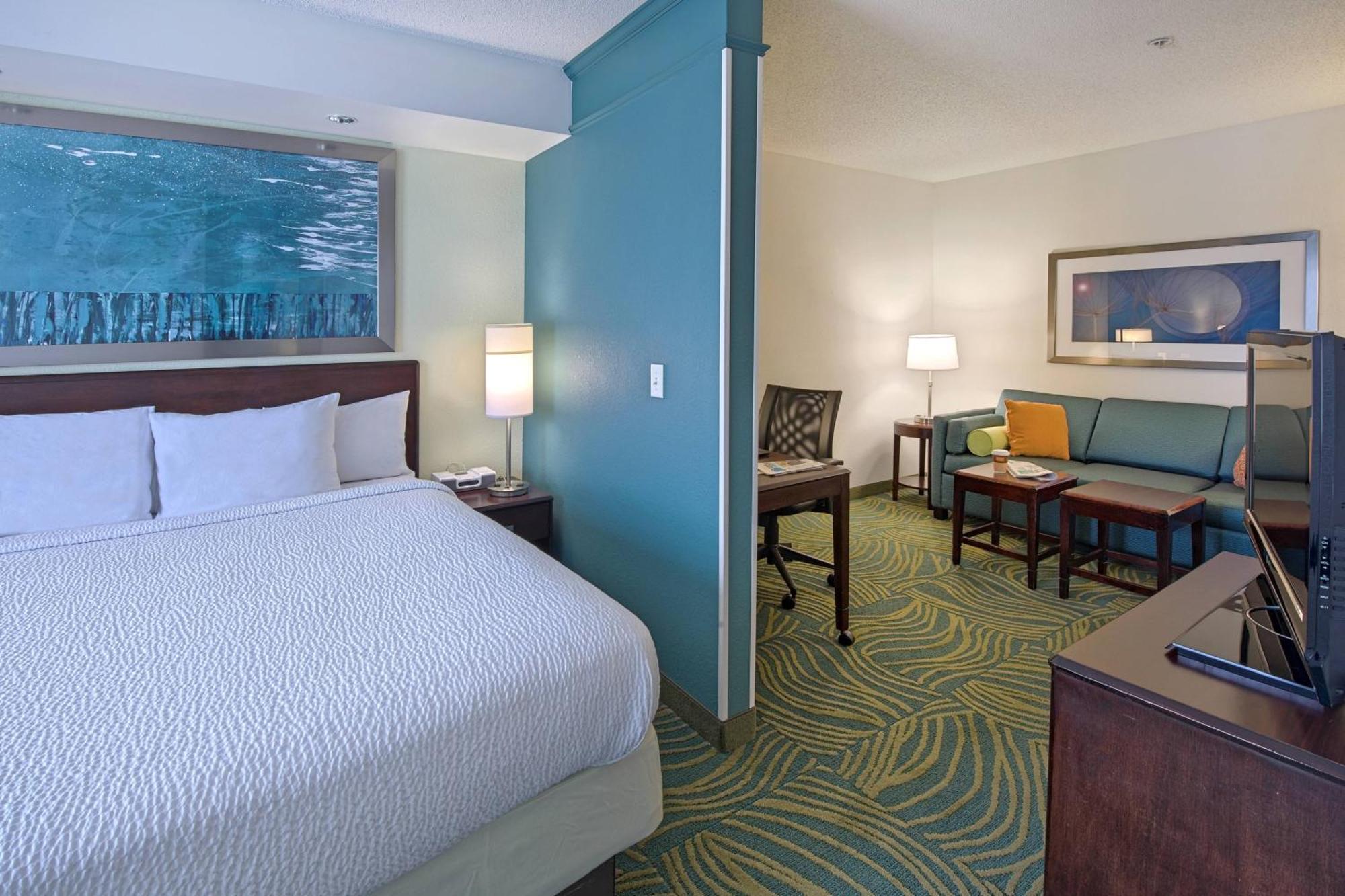 King Suite with Bathtub and Sofa Bed - Mobility Access/Hearing Accessible