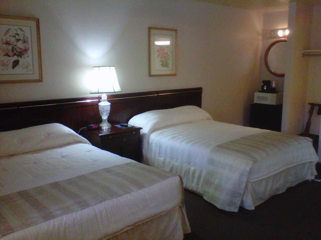 Double Room with Two Double Beds
