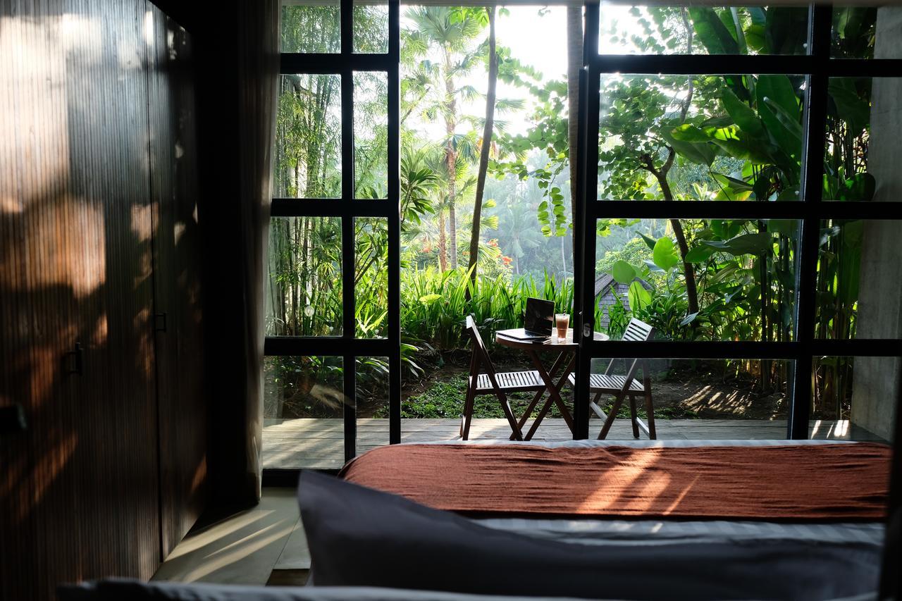 Forest Suite,1214218822:JPEG