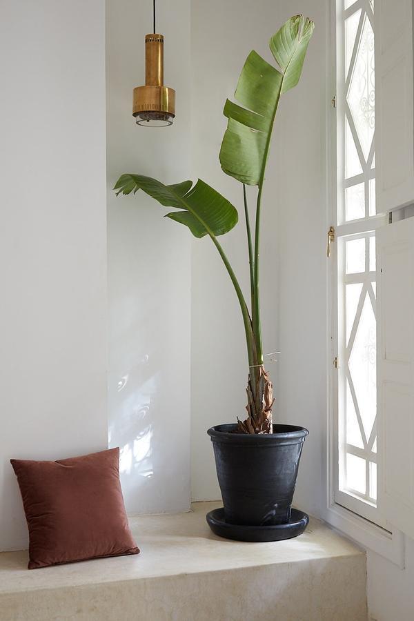Habitación Doble Deluxe