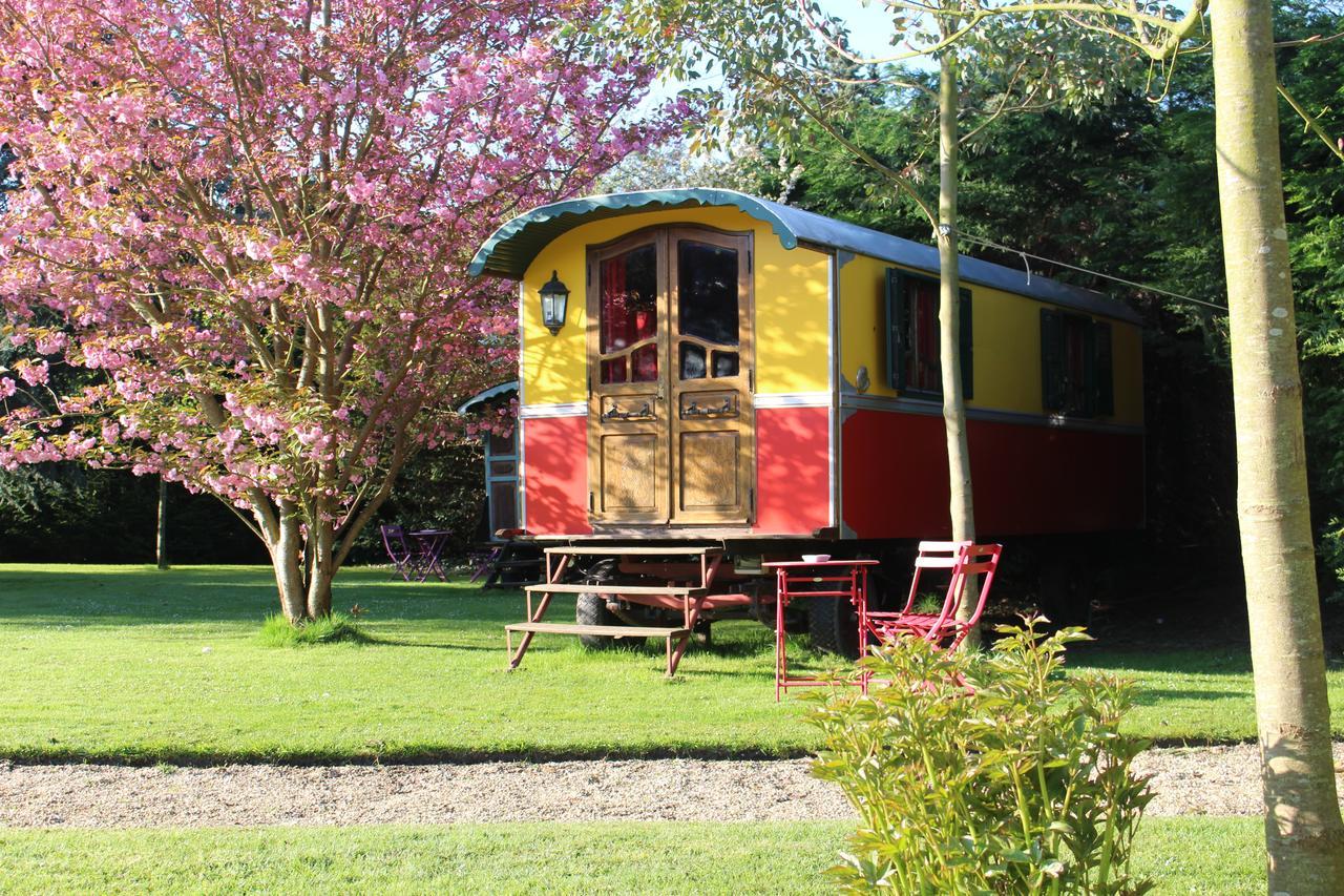 Caravan Romanes (1 or 2 people ),641465688:JPEG