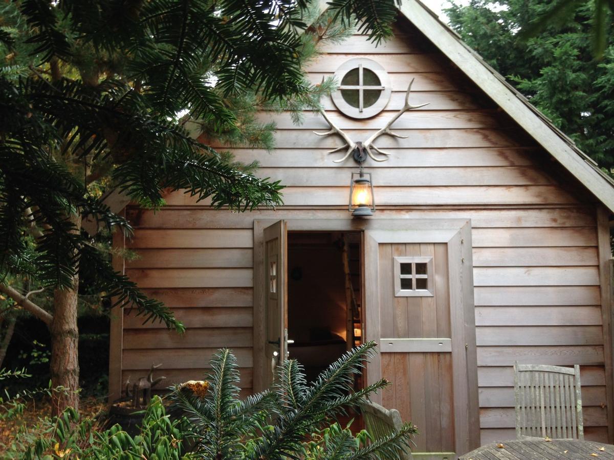 Cottage,664849176:JPEG