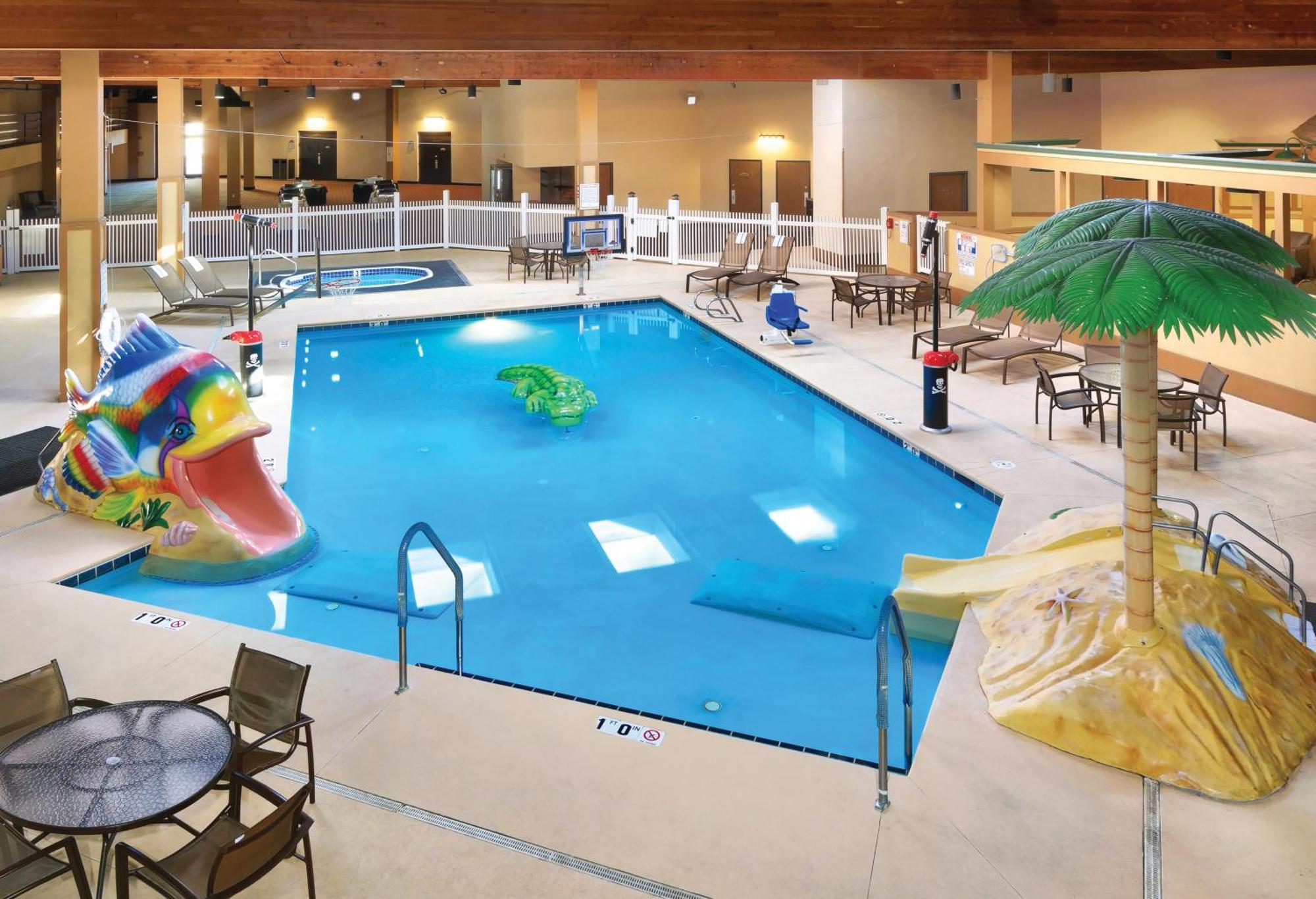 King Room - Disability Access - Pet Friendly,1022338951:JPEG