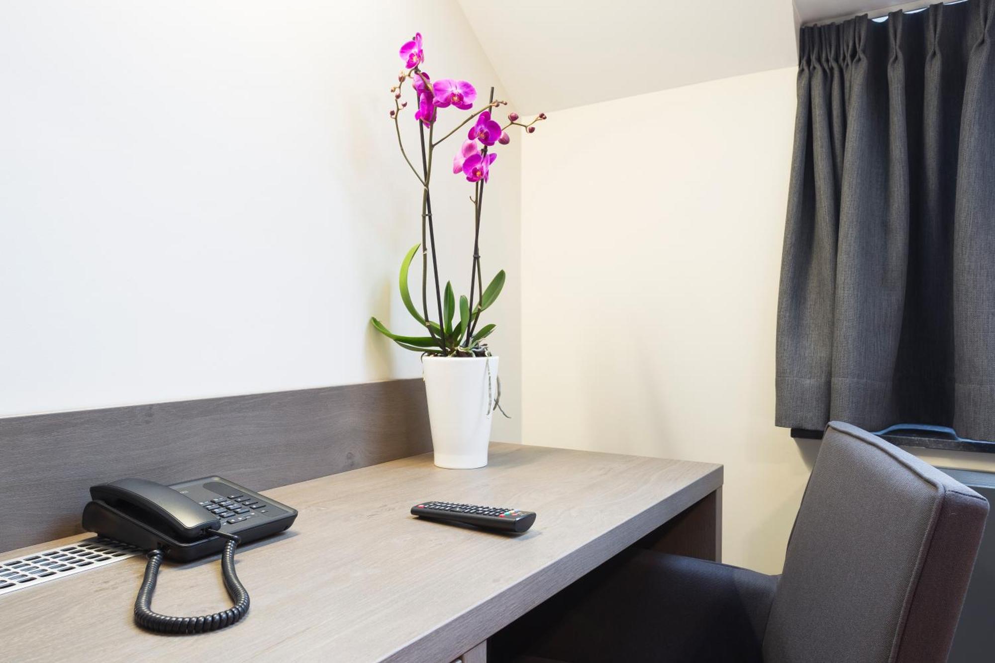 Family Room,1177251952:JPEG