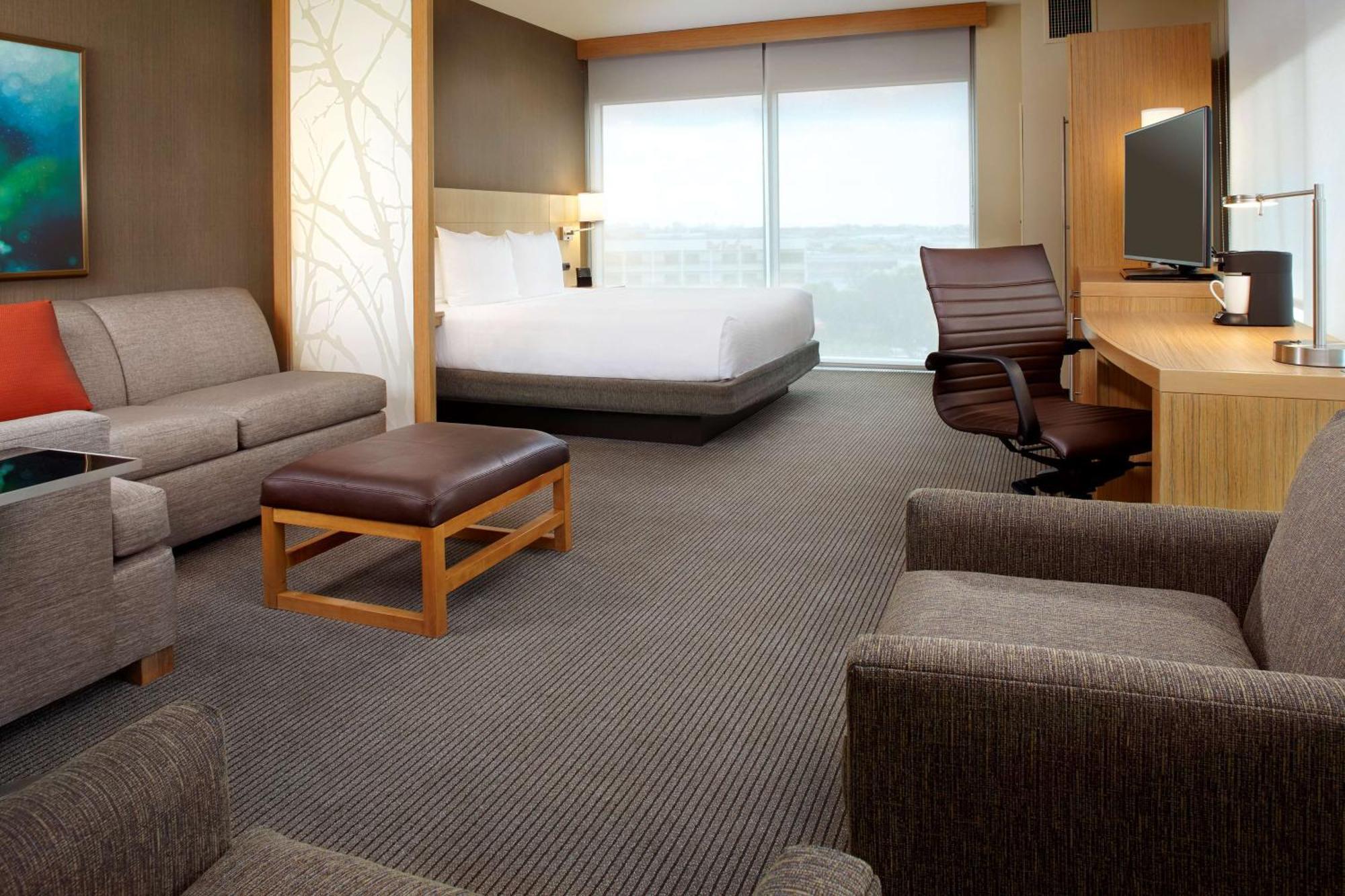 Specialty King Room with Sofa Bed
