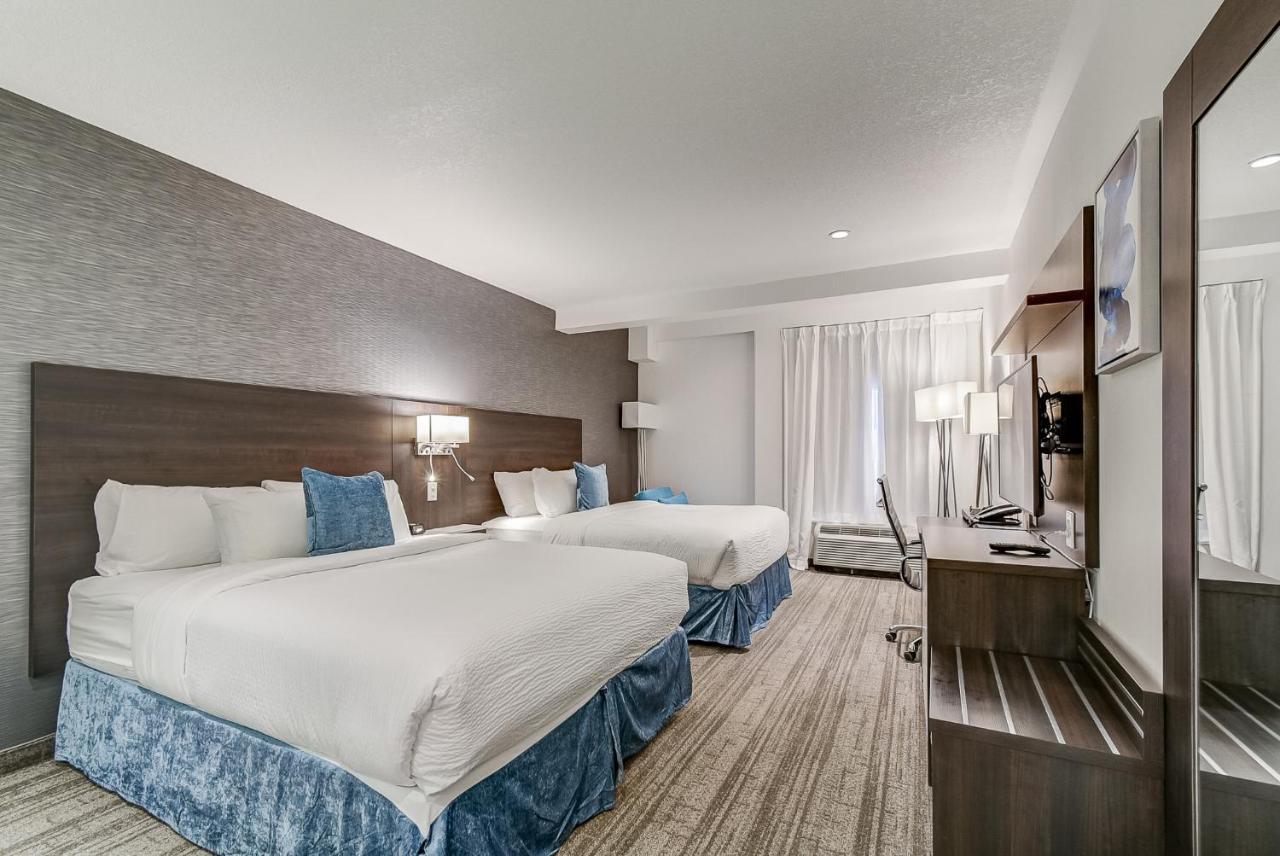Studio 2 Queen Beds