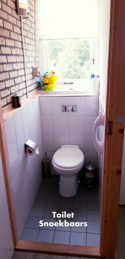 Budget Twin Room,902958214:JPEG