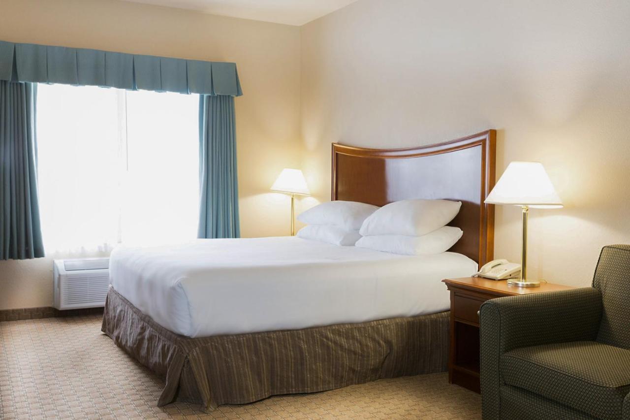 Standard King Room - Pet Friendly