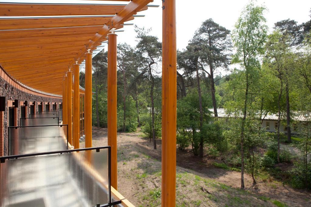 Comfort Double Room with Forest View,11461977:JPEG