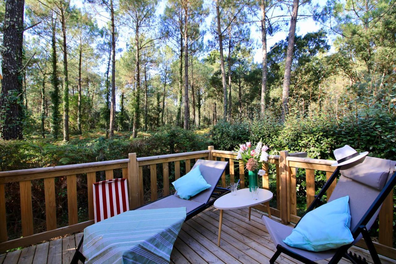 Cottage Cocoon