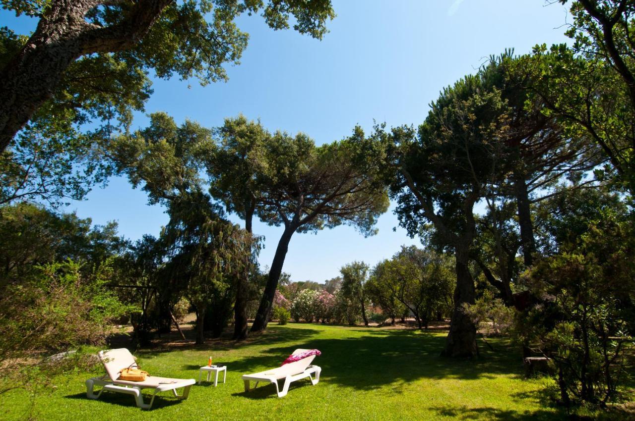 Bungalow - Vue sur Jardin