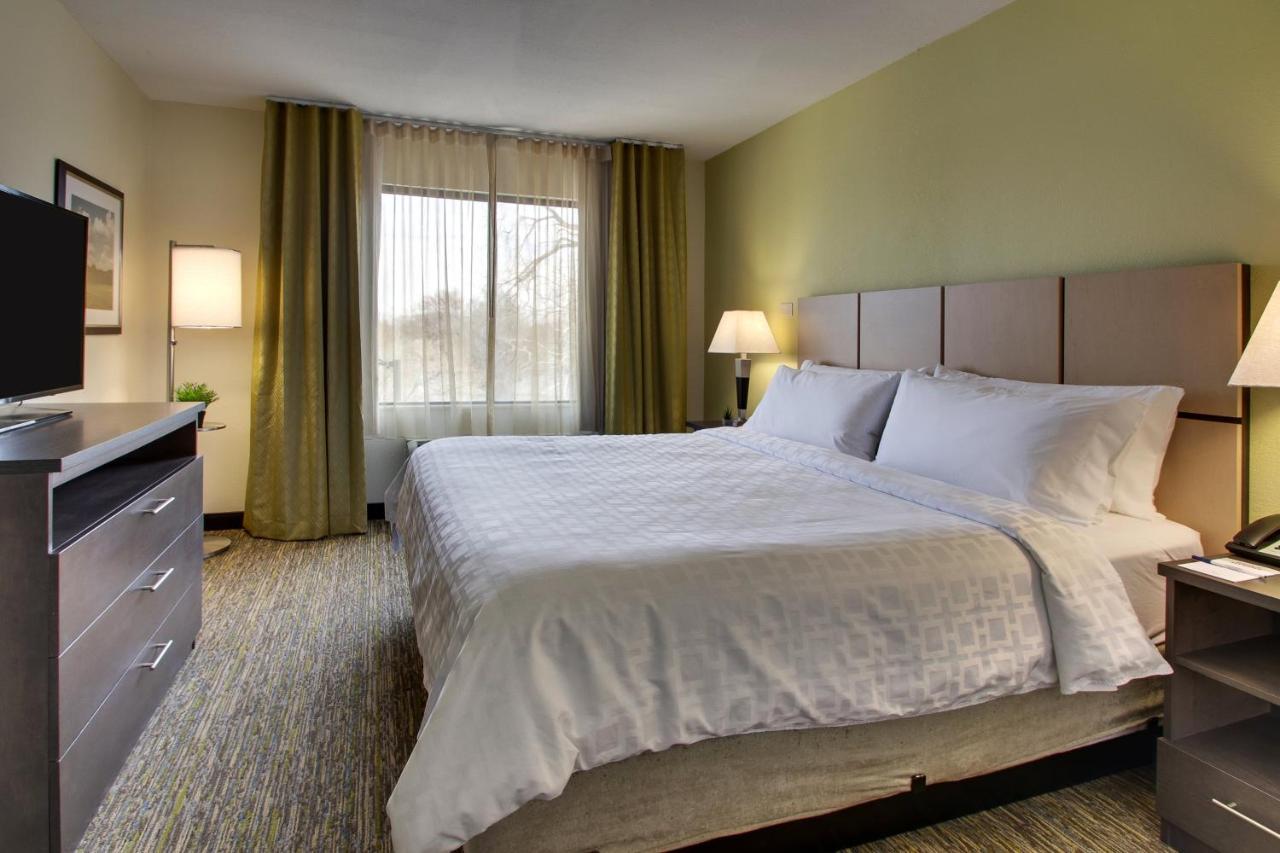 One-Bedroom King Suite with Sofa Bed