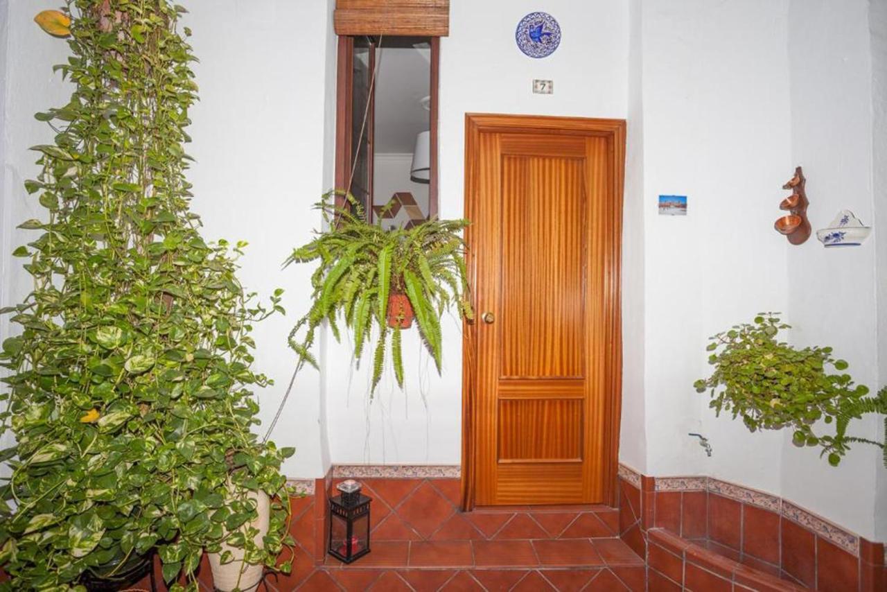 Double Room with Shared Bathroom,995525446:JPEG