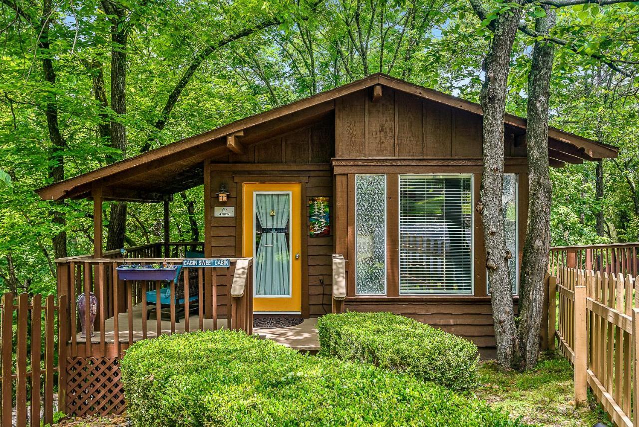 Aspen Cabin,999697230:JPEG