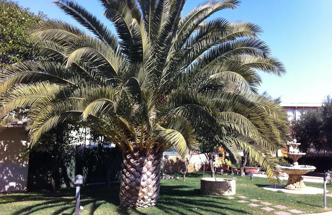 Hotel Giardino-1