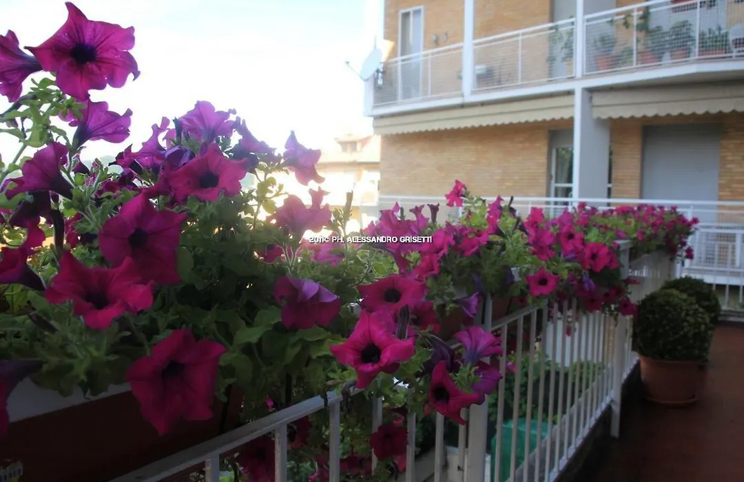 B&B Paradisett-1