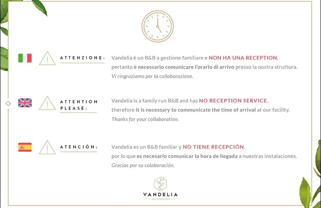 Vandelia B&B-1