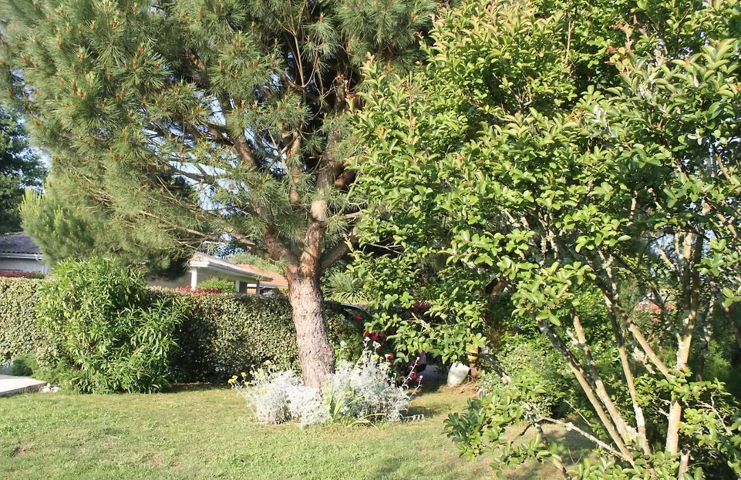 Chez Sophie-1