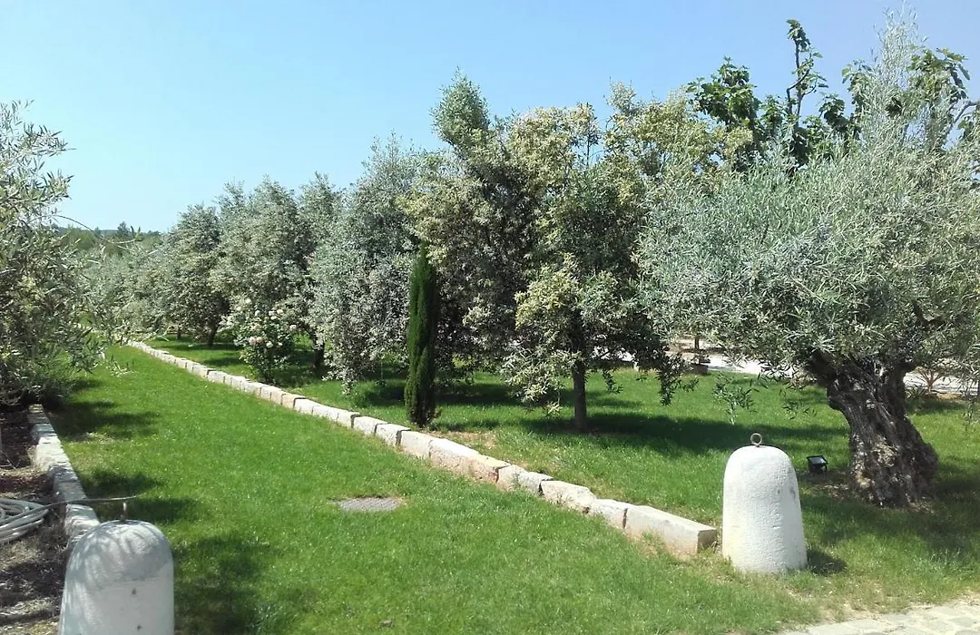 La Bastide de l'Oliveraie-1