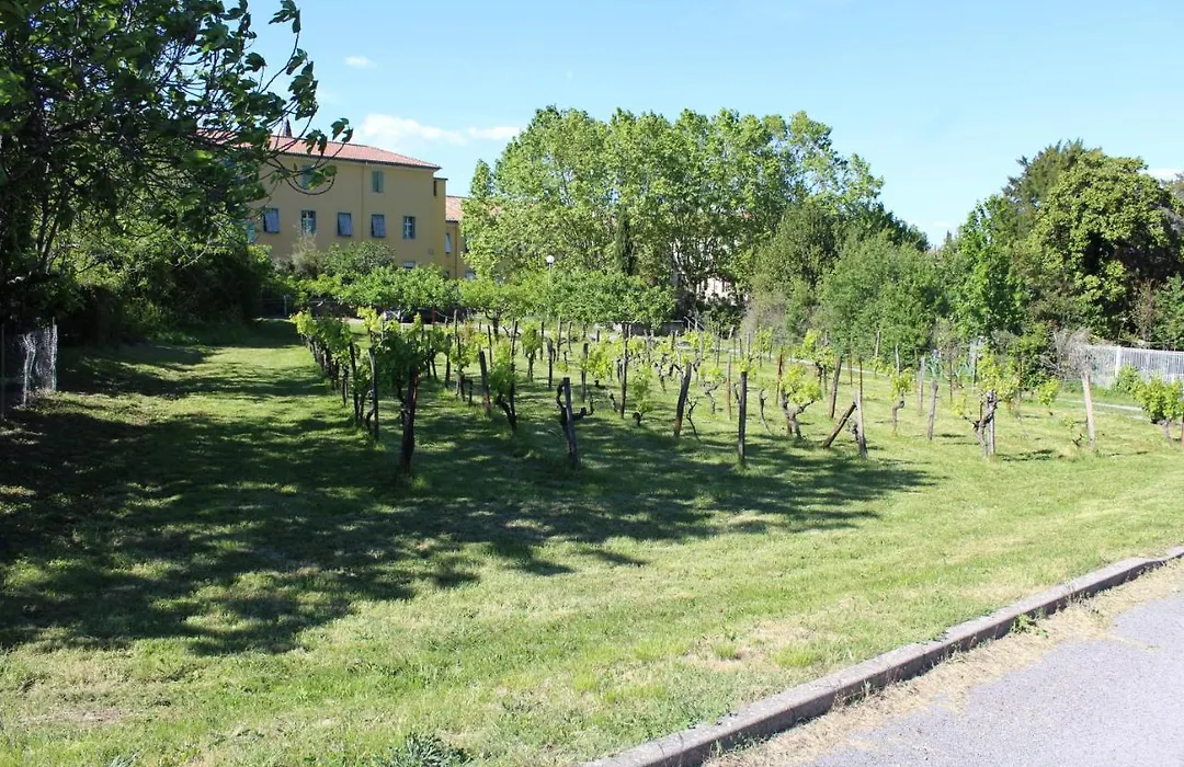 Hotel Des Oliviers-1