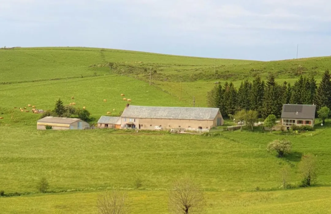 Horizon Aubrac Laguiole-1