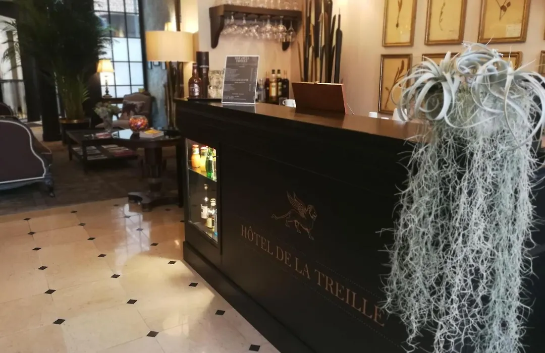 Hotel De La Treille-1