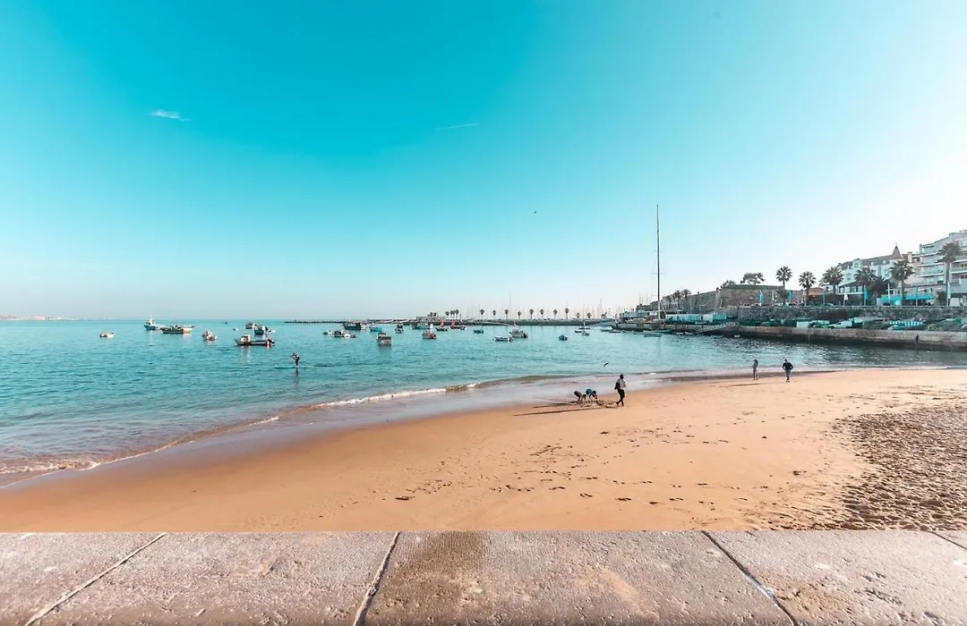 Wine Inn Cascais Guesthouse-1