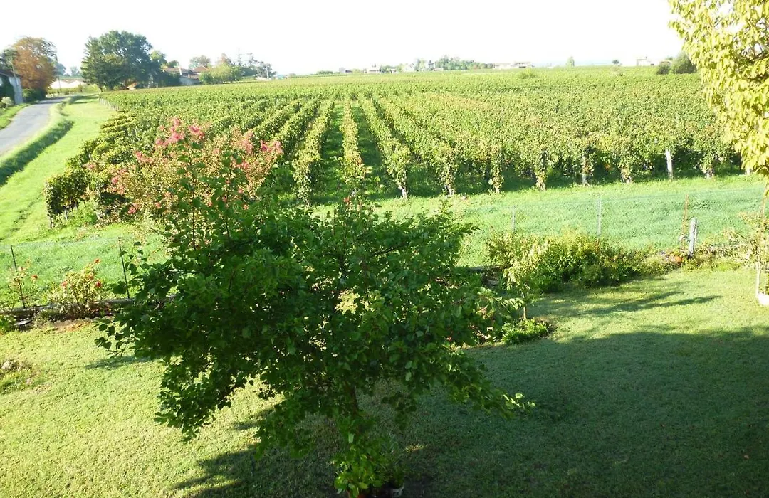 Le Clos des Rosiers-1