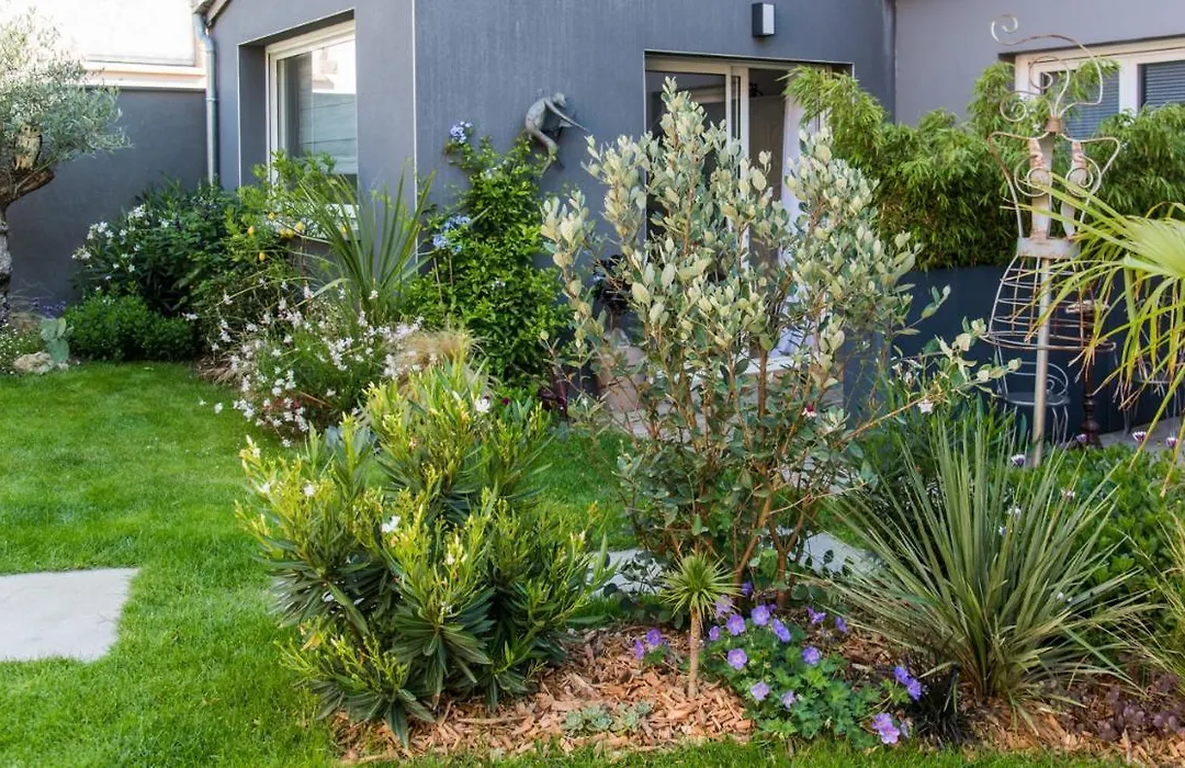 Chambre D'Hote Et Gite Du Jardin Des Corsaires-1