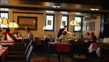 Hotel Goldener Karpfen-1