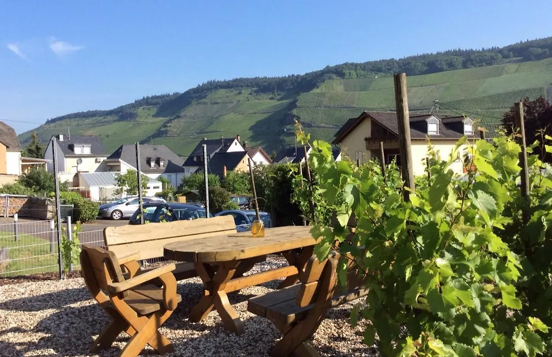 Ferien-Wein-Gut Keifer-1