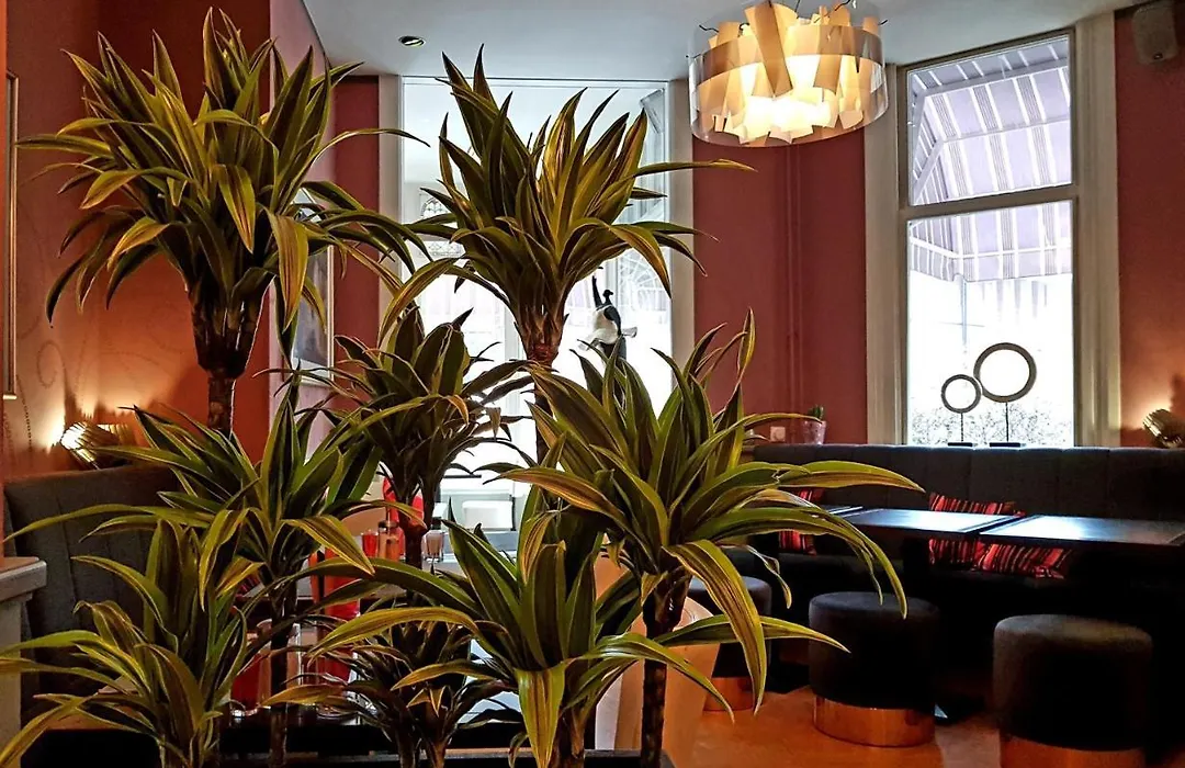 Hotel Ravel Hilversum-1