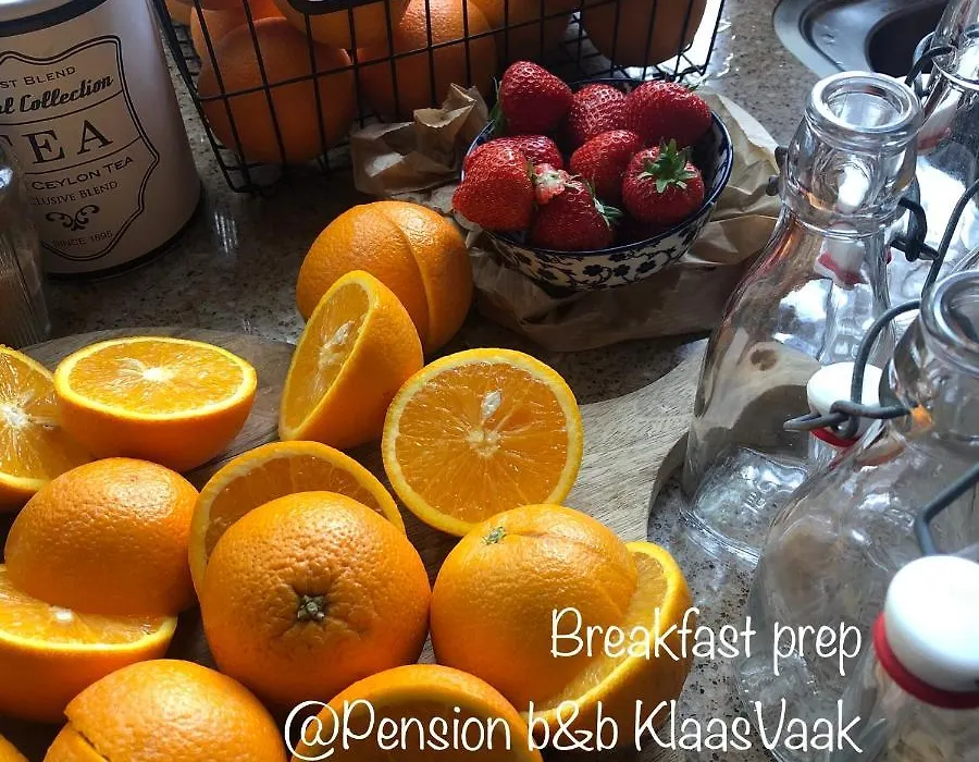 Pension B&B Klaasvaak-1
