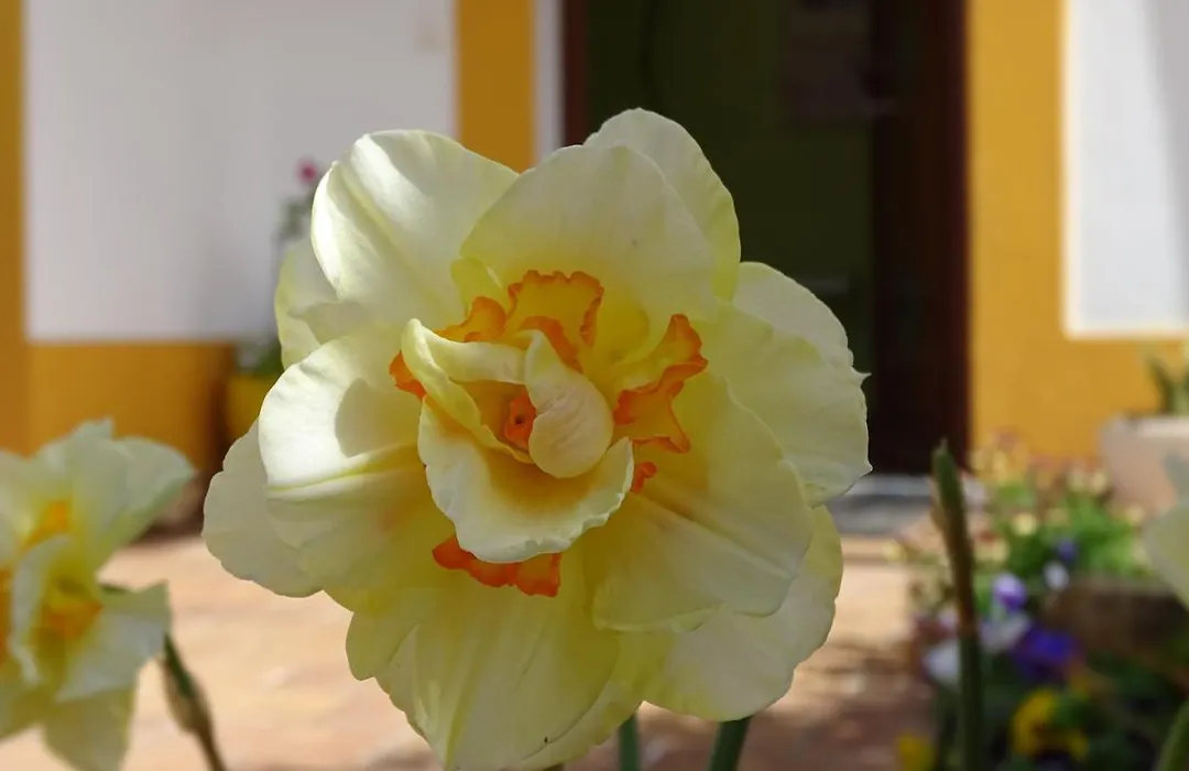 Mira Vila By Stay In Alentejo For Hikers-1