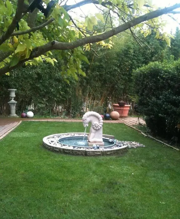Vineyard Inn Hotel-1