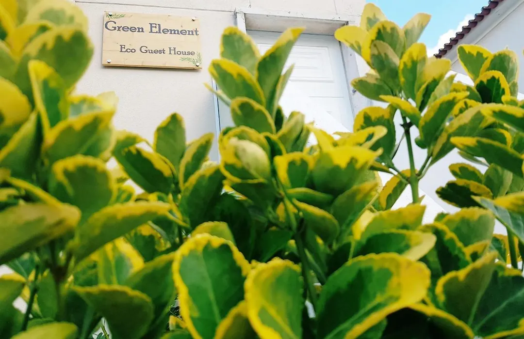 Green Element Guesthouse-1