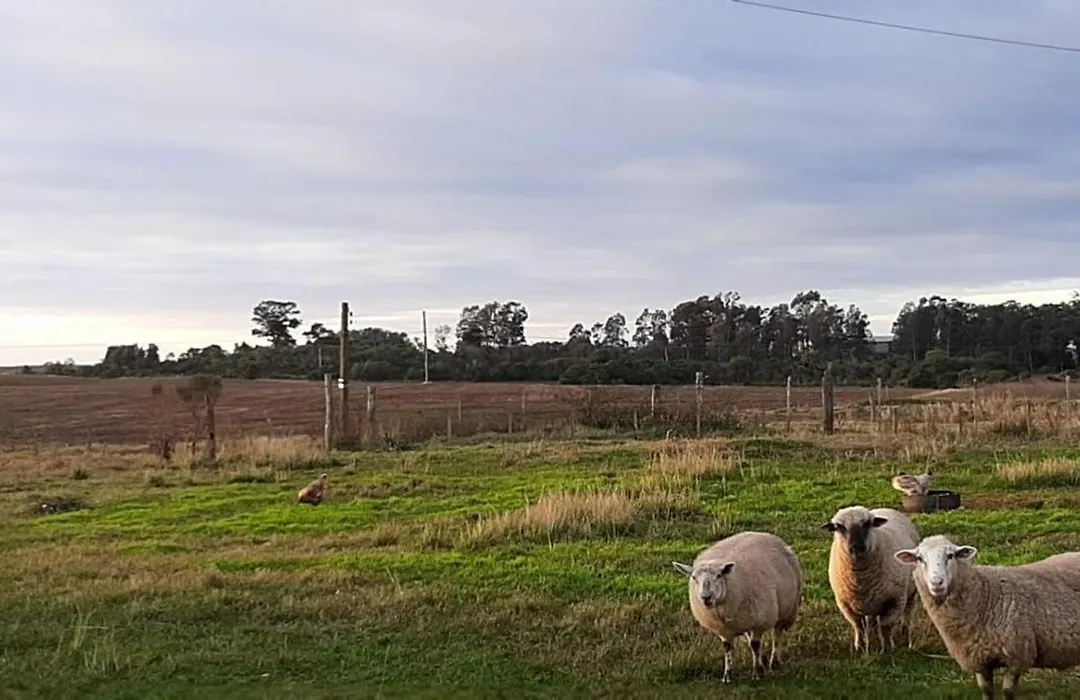 Pousada do Pampa-1